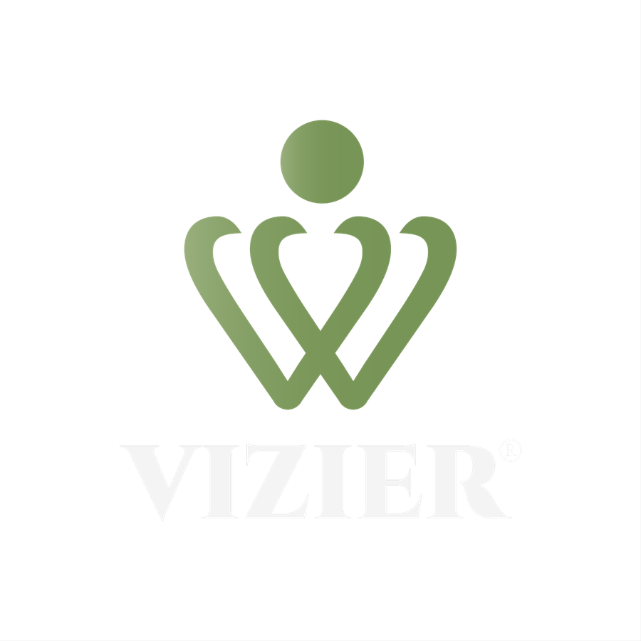 Vizier Agency